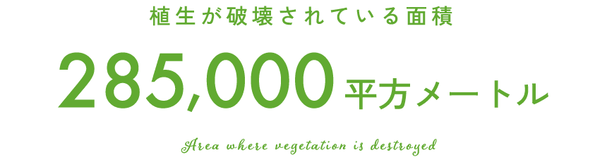 植生が破壊されている面積24,380,452 平方メートル